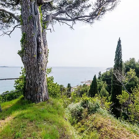 Διαμέρισμα Color - One Bedroom With Terrace And Partial Sea View